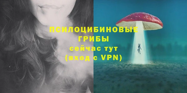 молекула духа Абинск