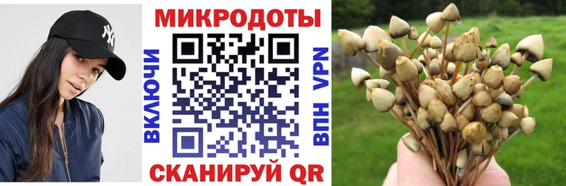 Псилоцибиновые грибы Psilocybe  Шумерля 