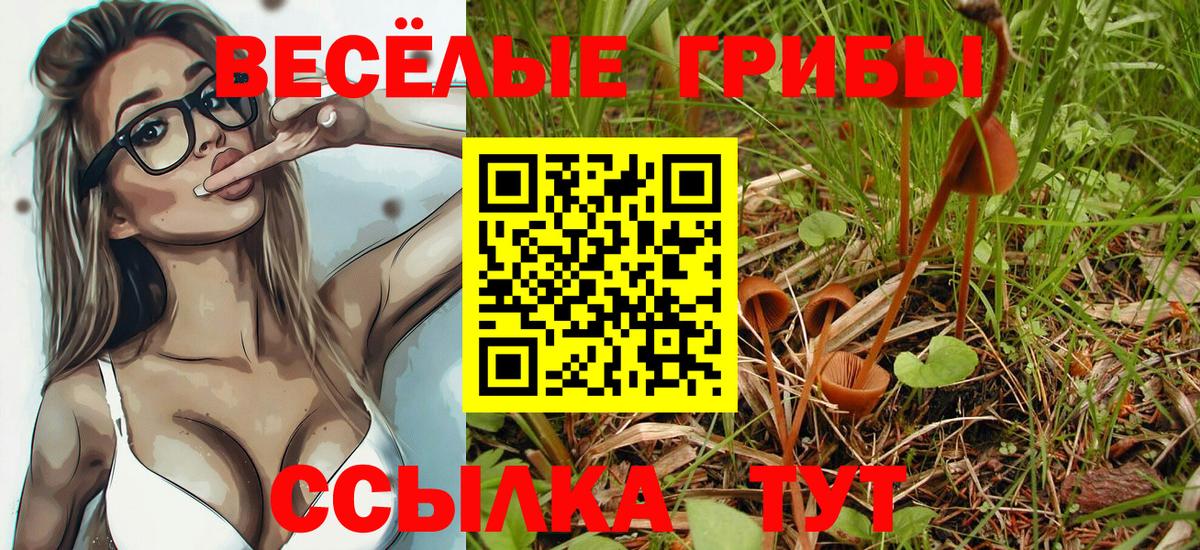 Галлюциногенные грибы ЛСД Шумерля